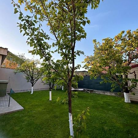 Casa Verde Констанца Екстериор снимка